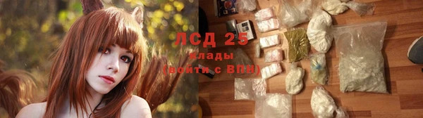 бошки Абаза