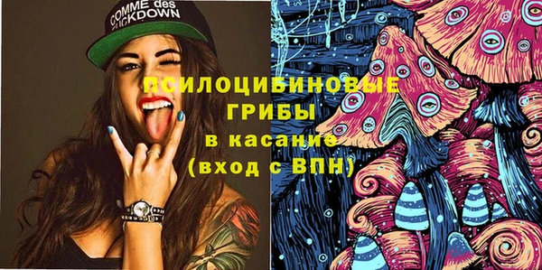 бошки Абаза