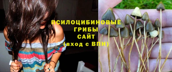 мдпв Абинск
