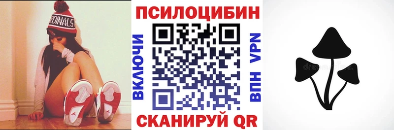 где купить   Княгинино  Галлюциногенные грибы MAGIC MUSHROOMS 