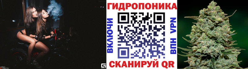 Бошки марихуана планчик  купить наркоту  Княгинино 